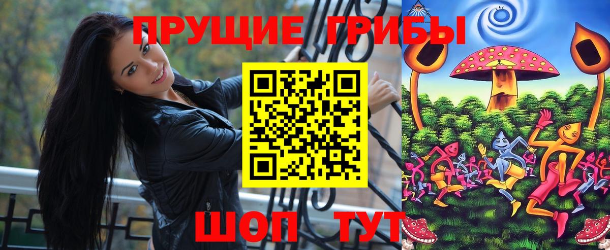 Псилоцибиновые грибы Psilocybe Когалым
