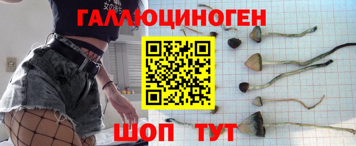 Галлюциногенные грибы Psilocybe  Вход с VPN  Когалым  сколько стоит  Галлюциногенные грибы мухоморы 
